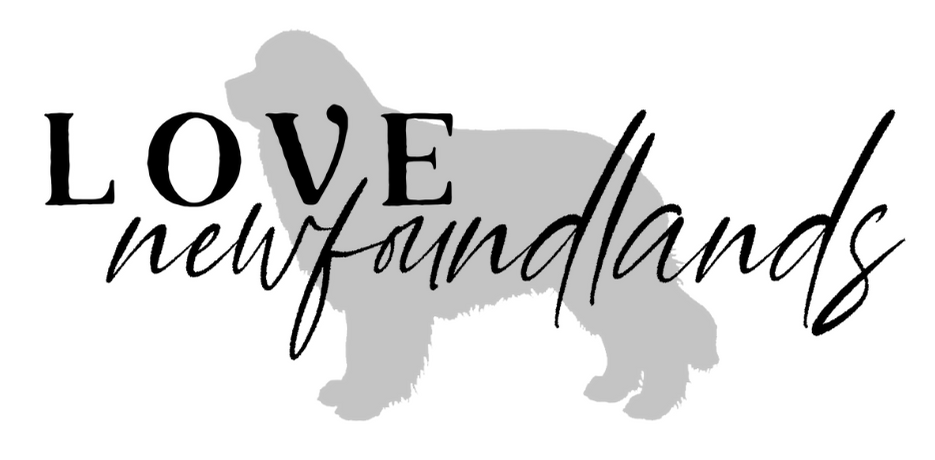 Shop Love Newfoundlands